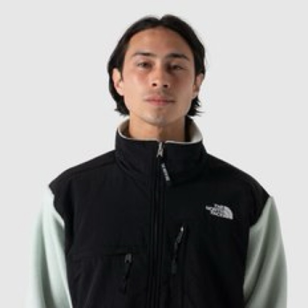 The North Face Mens 1995 Retro Green Mist Denali Jacket size large - Picture 7 of 12